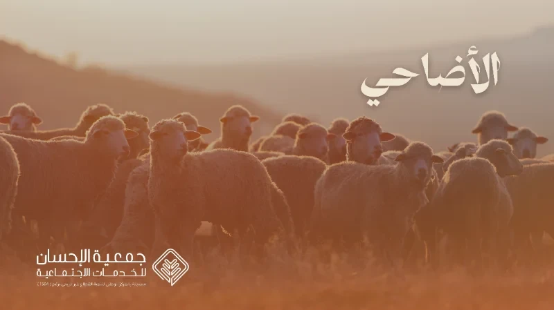 الأضاحي
